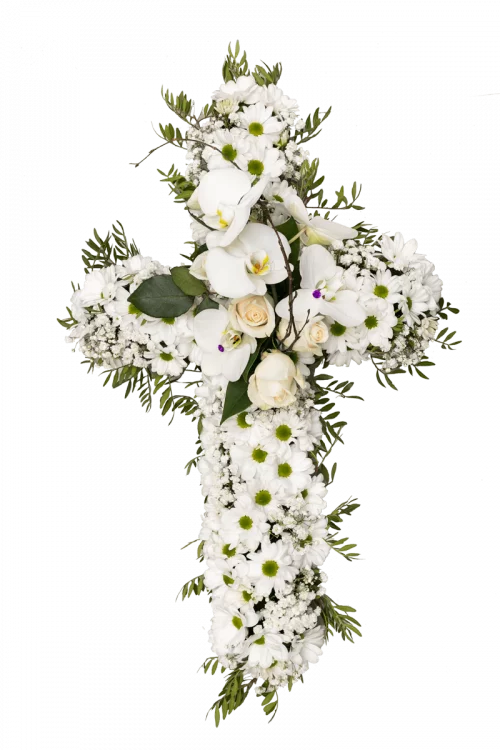 Cruz